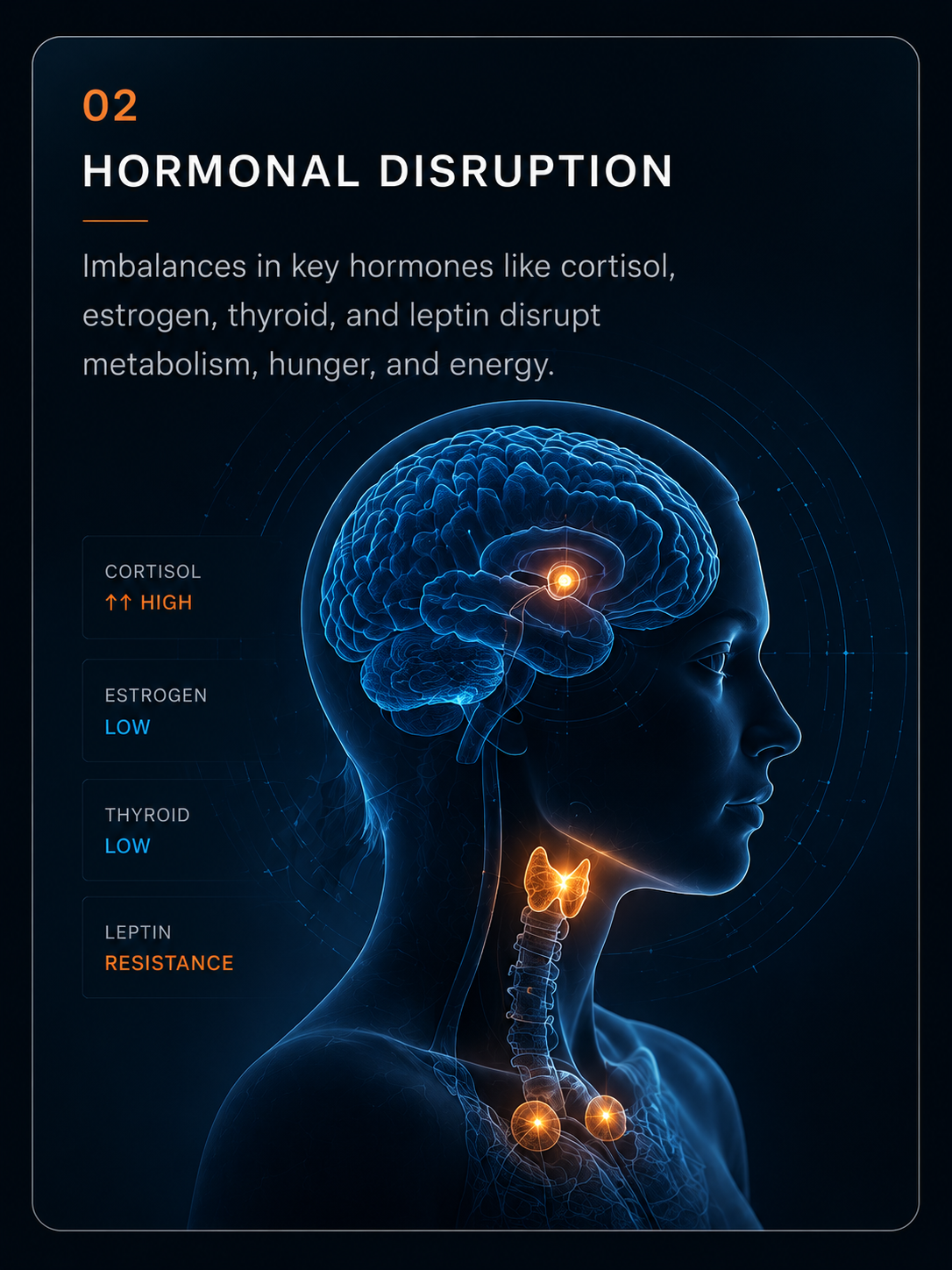 Metabolic Reset - hormonal disruption science card