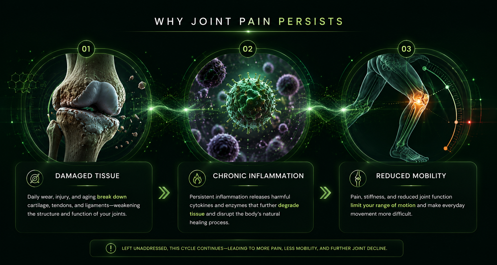 Diagnostic panel showing damaged tissue chronic inflammation and reduced mobility