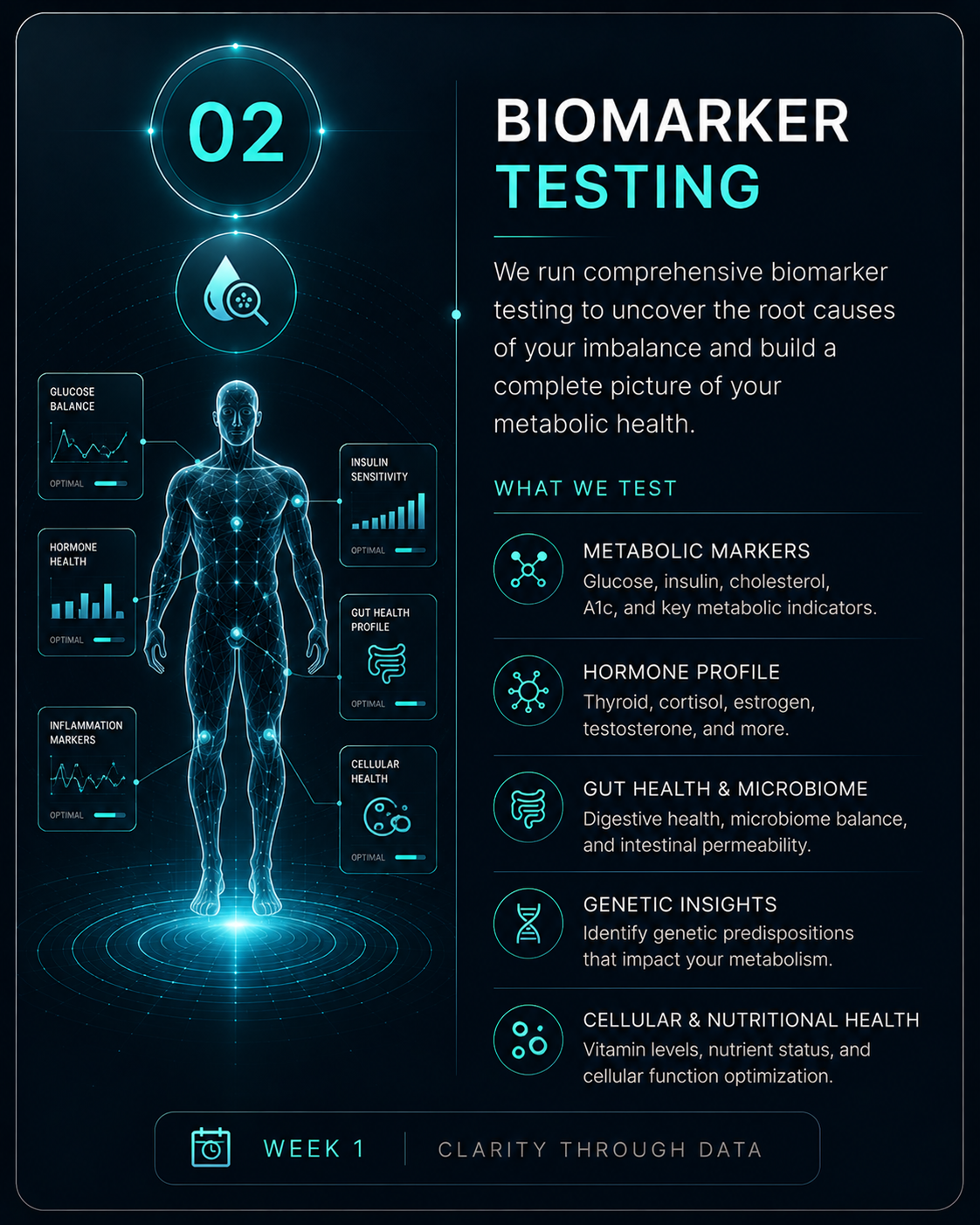 Metabolic Reset Journey - biomarker testing