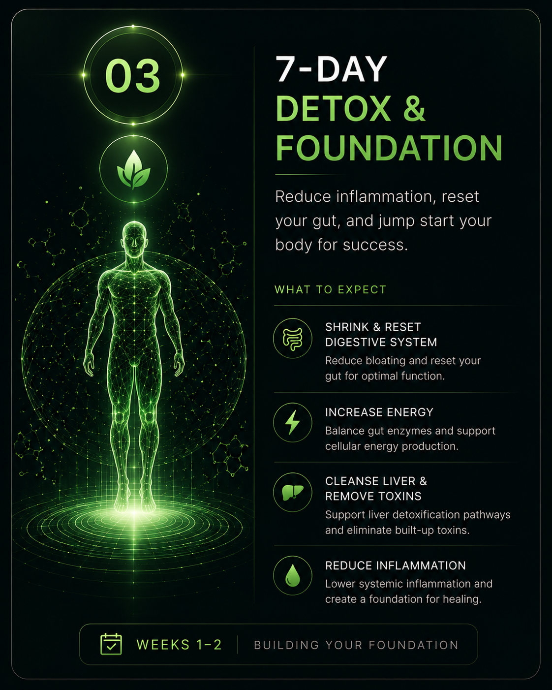 Metabolic Reset Journey - 7-day detox and foundation