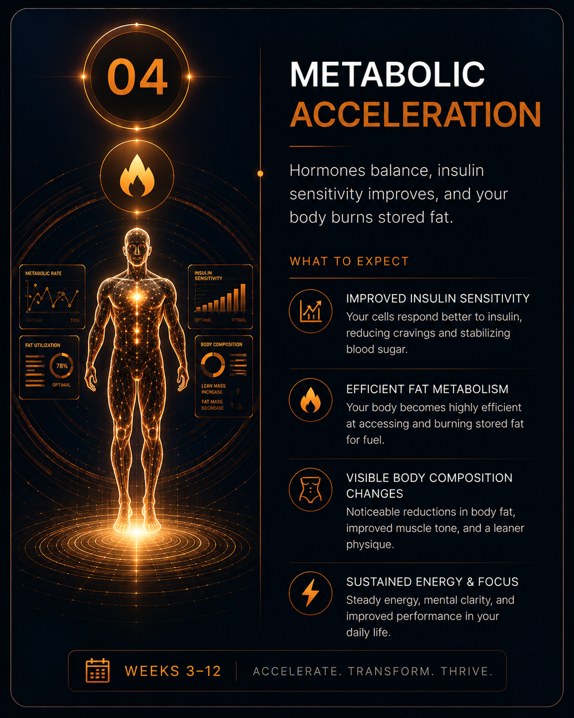 Metabolic Reset Journey - metabolic acceleration