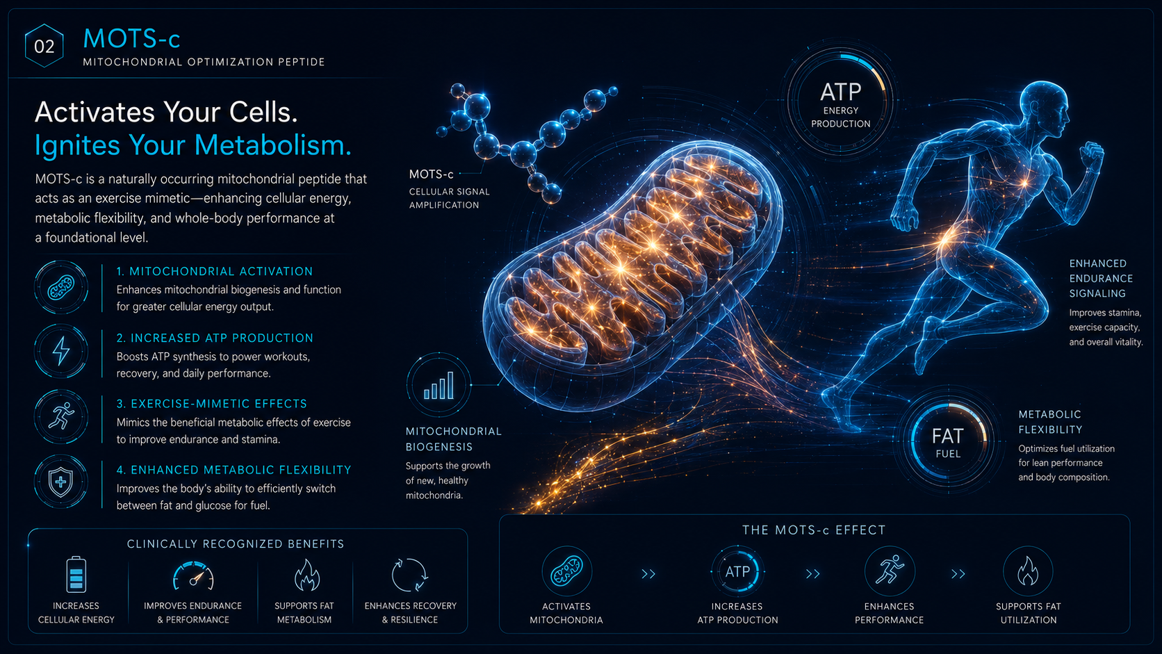 MOTS-c mitochondrial optimization peptide display