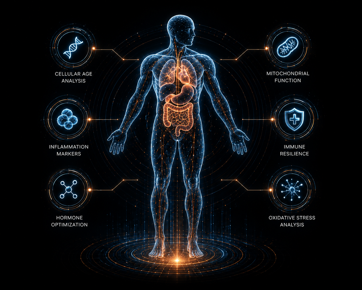 Advanced biomarker mapping system with cellular age analysis, inflammation markers, hormone optimization, mitochondrial function, and immune resilience