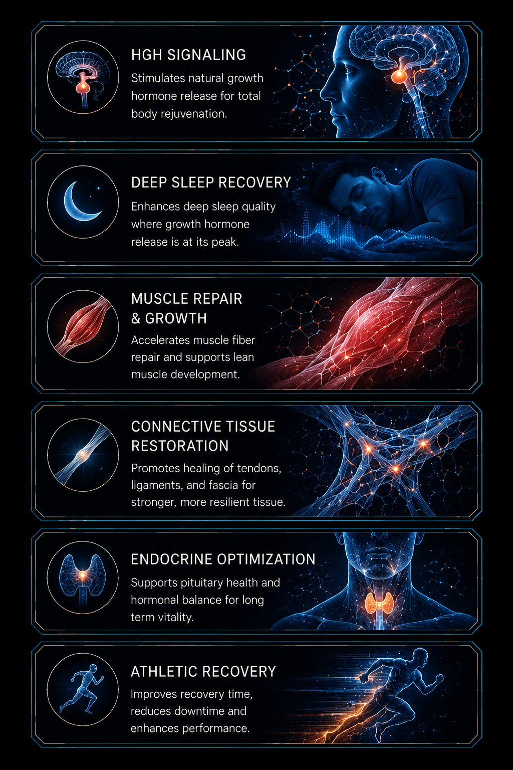 HGH signaling, deep sleep recovery, muscle repair, connective tissue restoration, endocrine optimization, and athletic recovery system