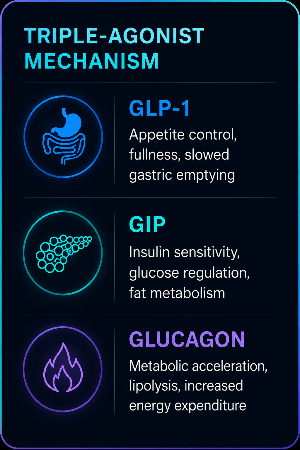 Triple agonist mechanism clinical card