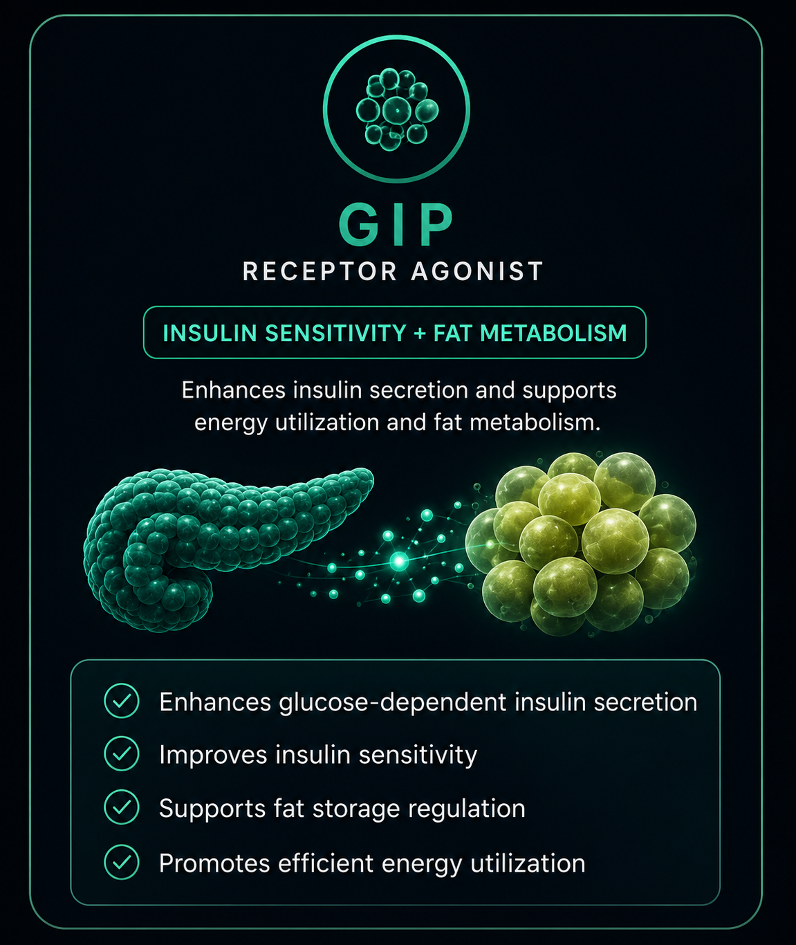 GIP receptor agonist insulin sensitivity and fat metabolism visual card