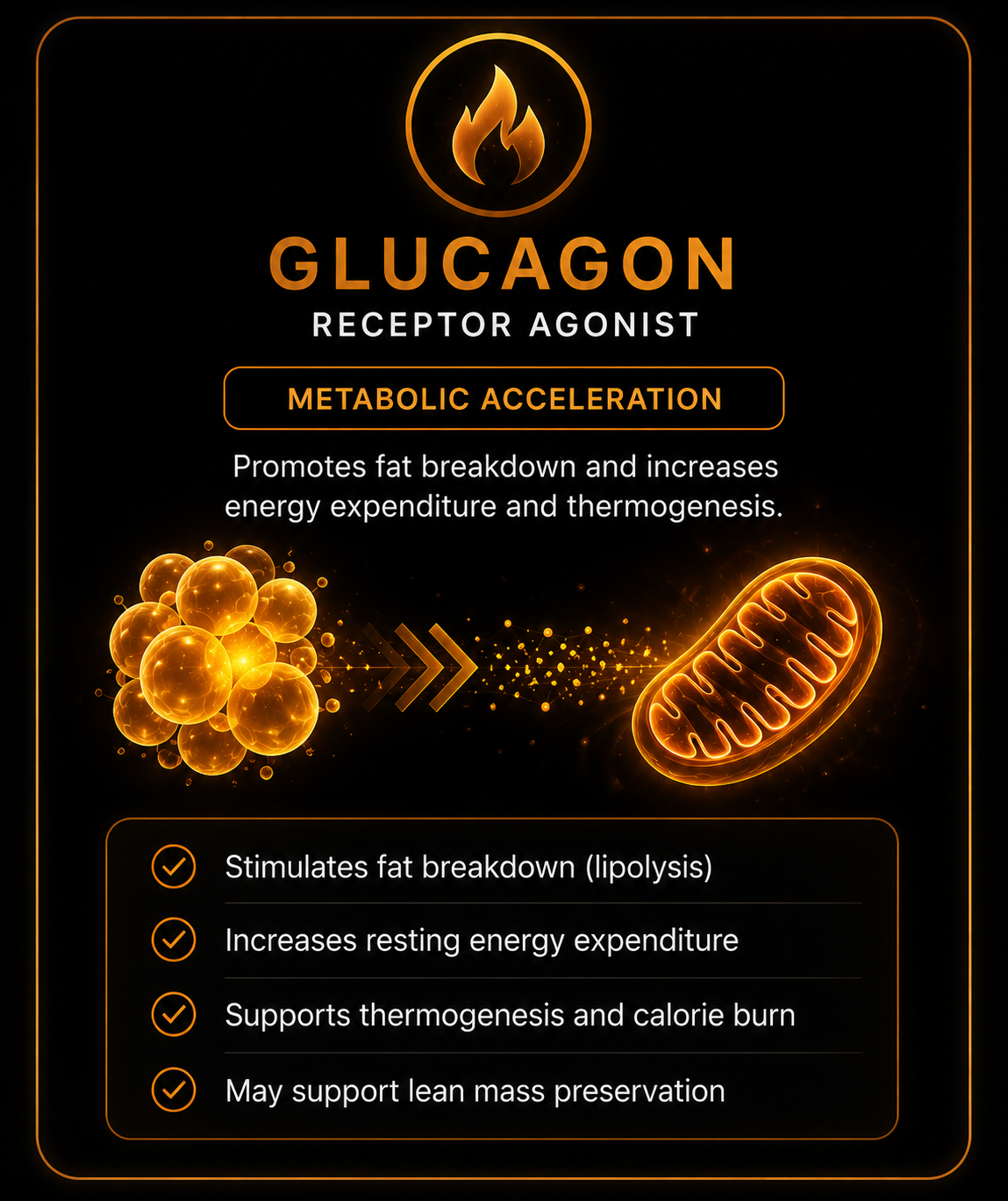 Glucagon receptor agonist metabolic acceleration visual card