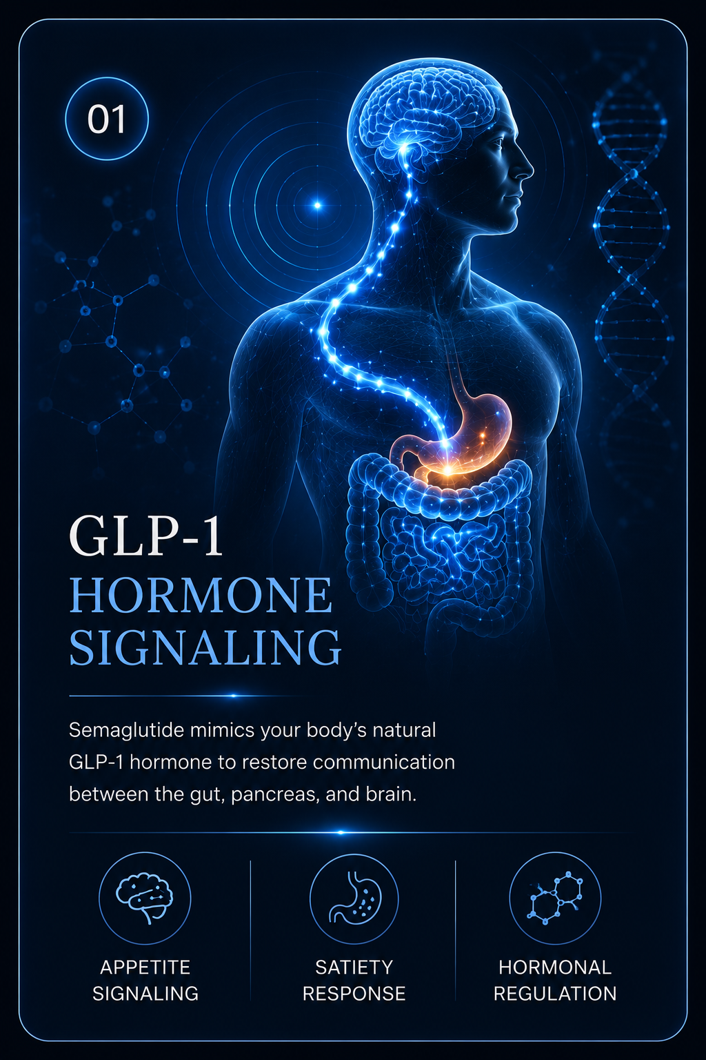 GLP-1 hormone signaling card for Semaglutide weight loss program