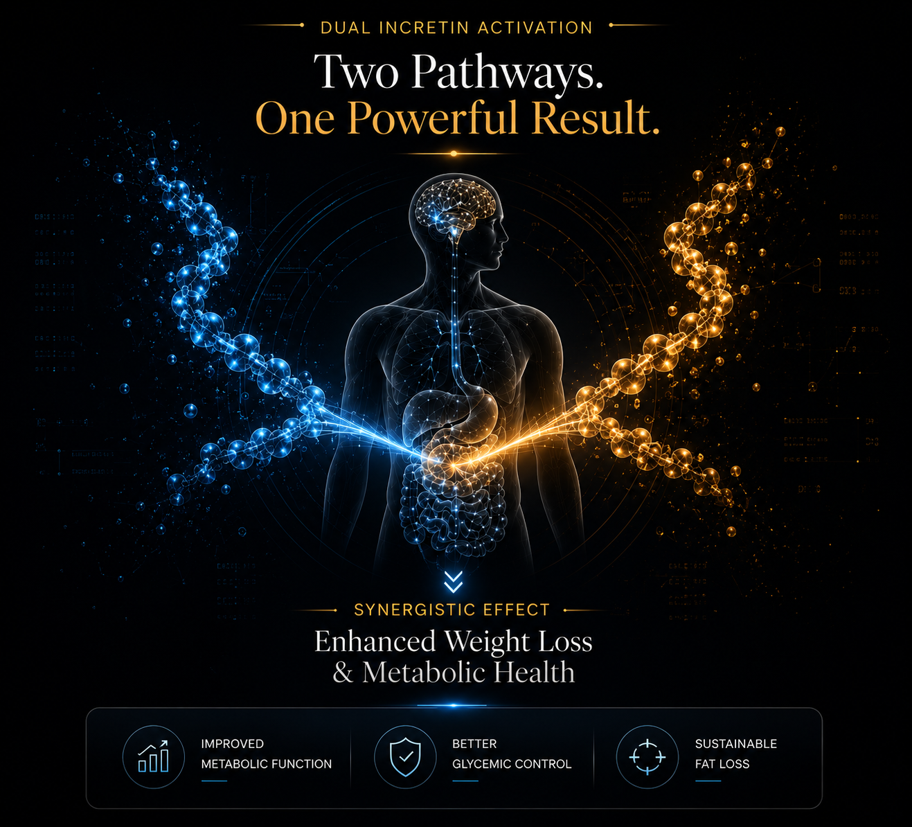 Dual incretin activation visualization showing two pathways and one powerful result
