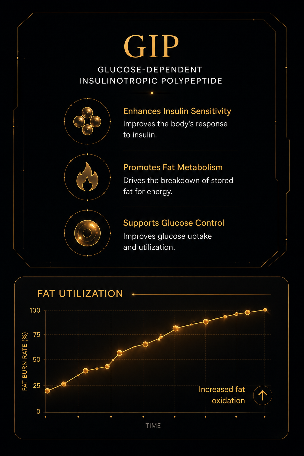 GIP pathway visualization for Tirzepatide insulin sensitivity and fat metabolism