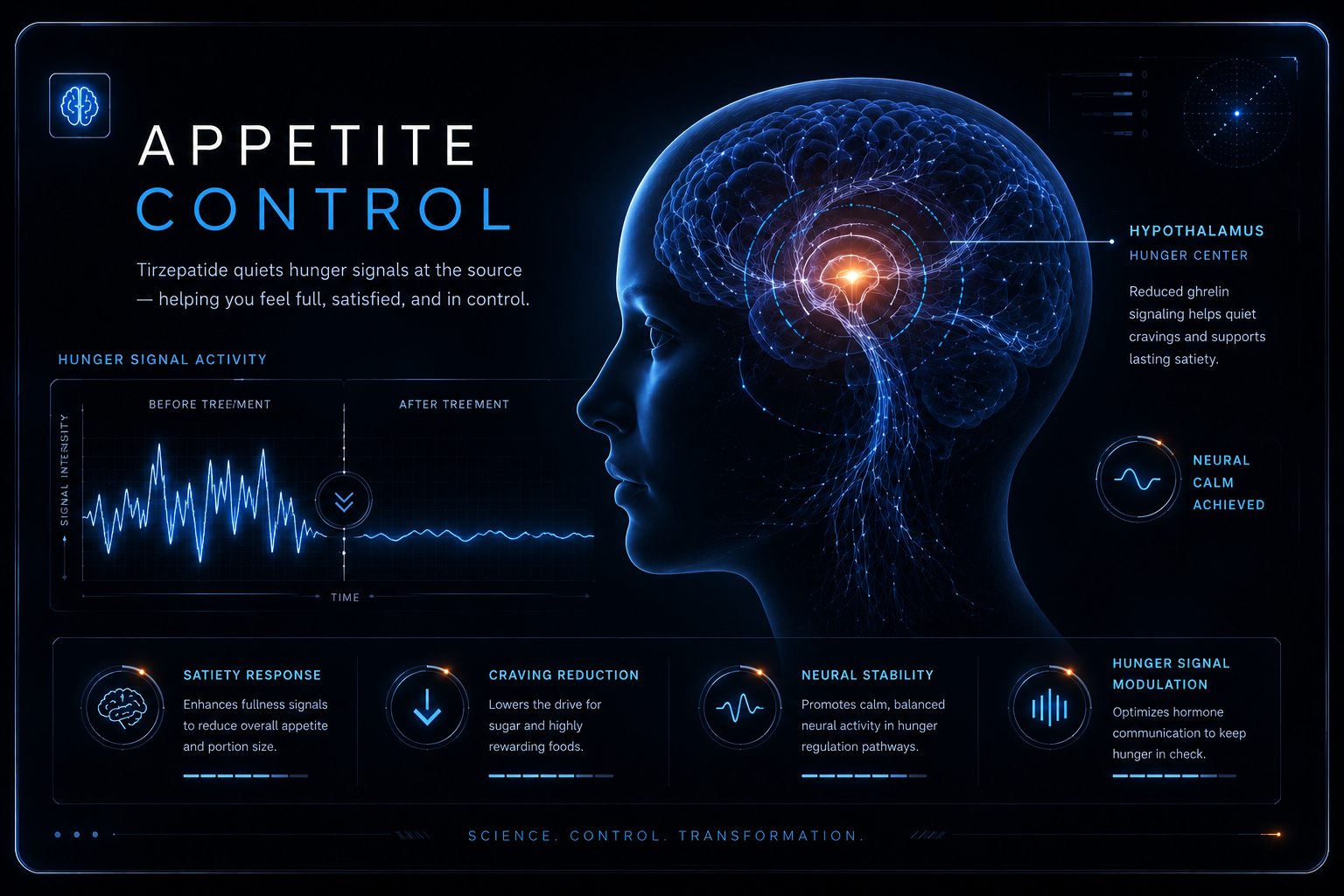 Appetite control visualization showing hunger signal modulation for Tirzepatide