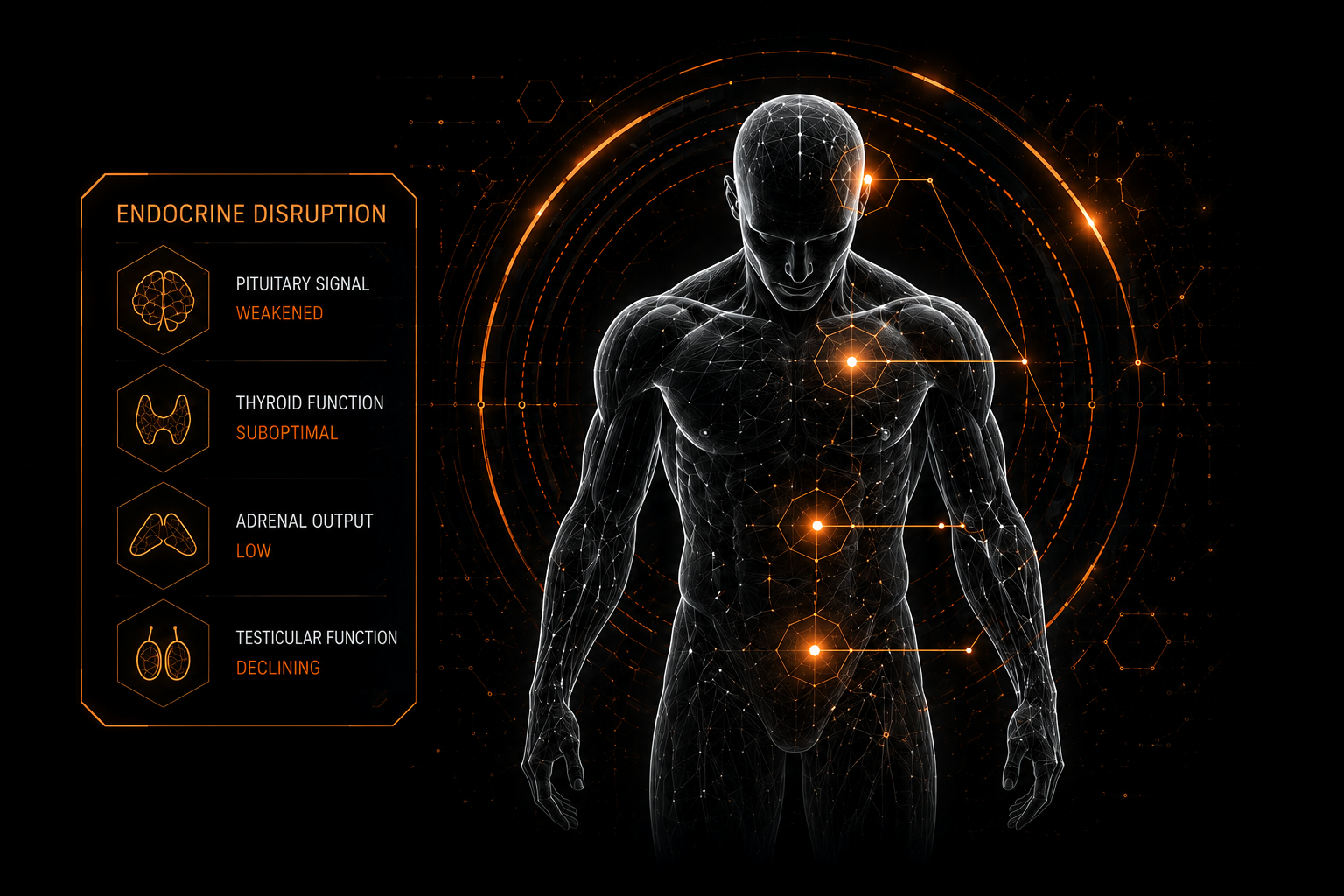 Endocrine disruption analysis graphic