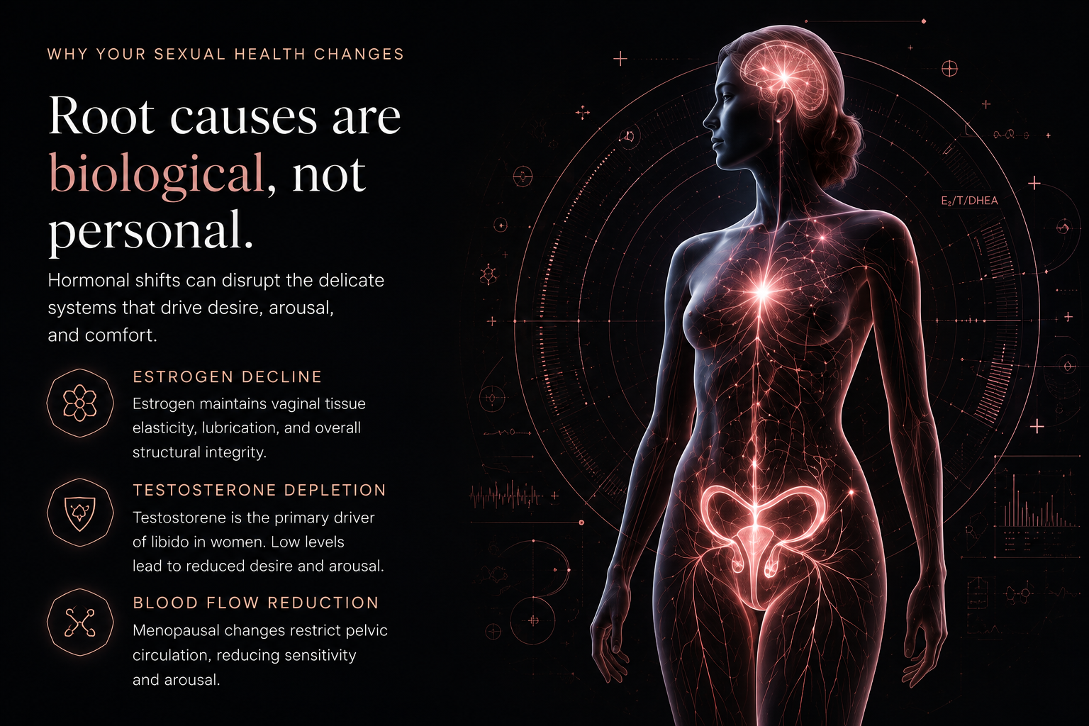Root causes are biological not personal endocrine and circulation visual