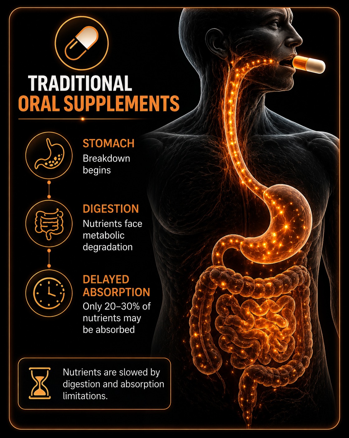 Traditional oral supplements digestive pathway graphic showing delayed absorption