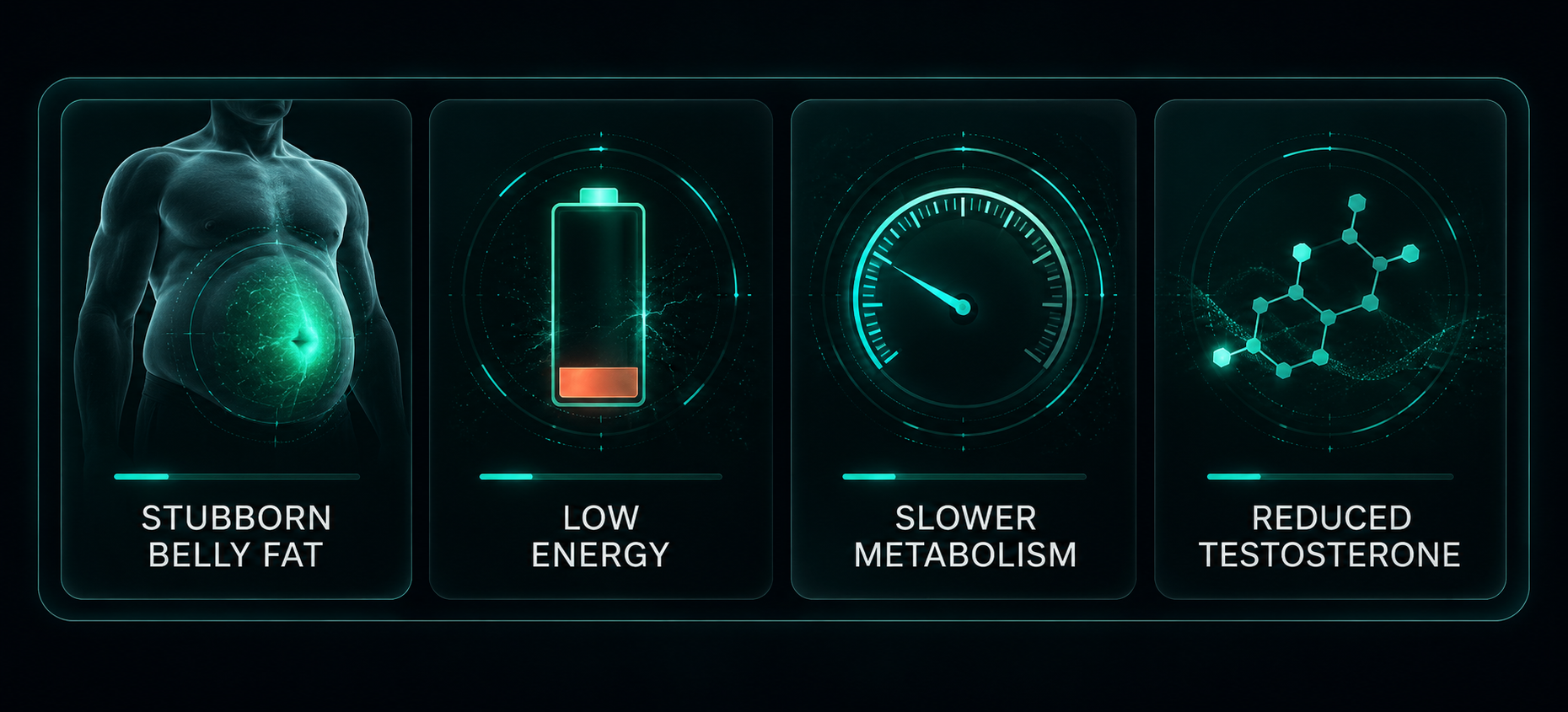 Men's weight loss symptom dashboard showing stubborn belly fat, low energy, slower metabolism, and reduced testosterone